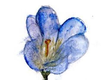 A6 Card, Crocus, Pencil and watercolour on paper, Painted age 6