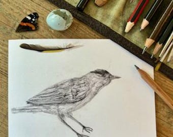 Blackcap, A6 Greetings Card, Pencil on paper, Drawn age 8