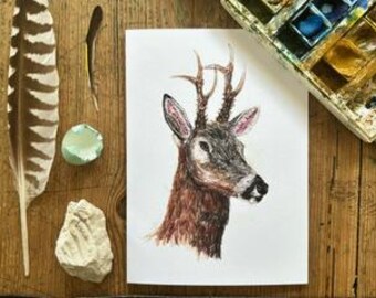 Roe Deer, A6 Greetings Card, Pencil and biro on paper, Drawn aged 11