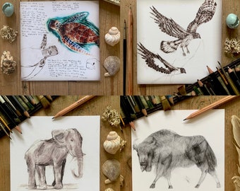 Square Greetings Cards - 4 different designs of your choice!