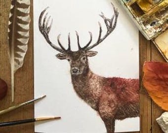 Red Deer, A5 Greeting Card, Watercolour on paper, Painted age 11