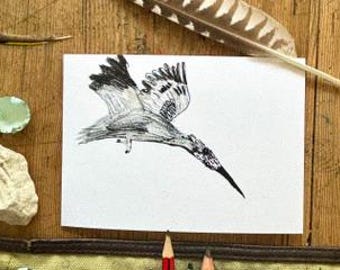 Kingfisher, pencil, A6 Greetings Card, Pencil on paper, Drawn aged 5