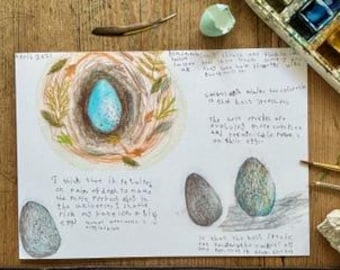 Song Thrush Notes, A5 Greeting Card, Drawn aged 7