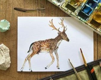 Fallow Deer, A6 Greetings Card