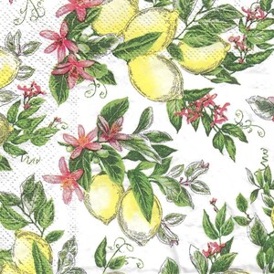 2 -5&quot;x 5&quot;, lemon tree, Lemon, Napkins, Paper Napkins for decoupage, Decoupage for beginners, Napkin Art, Decoupage