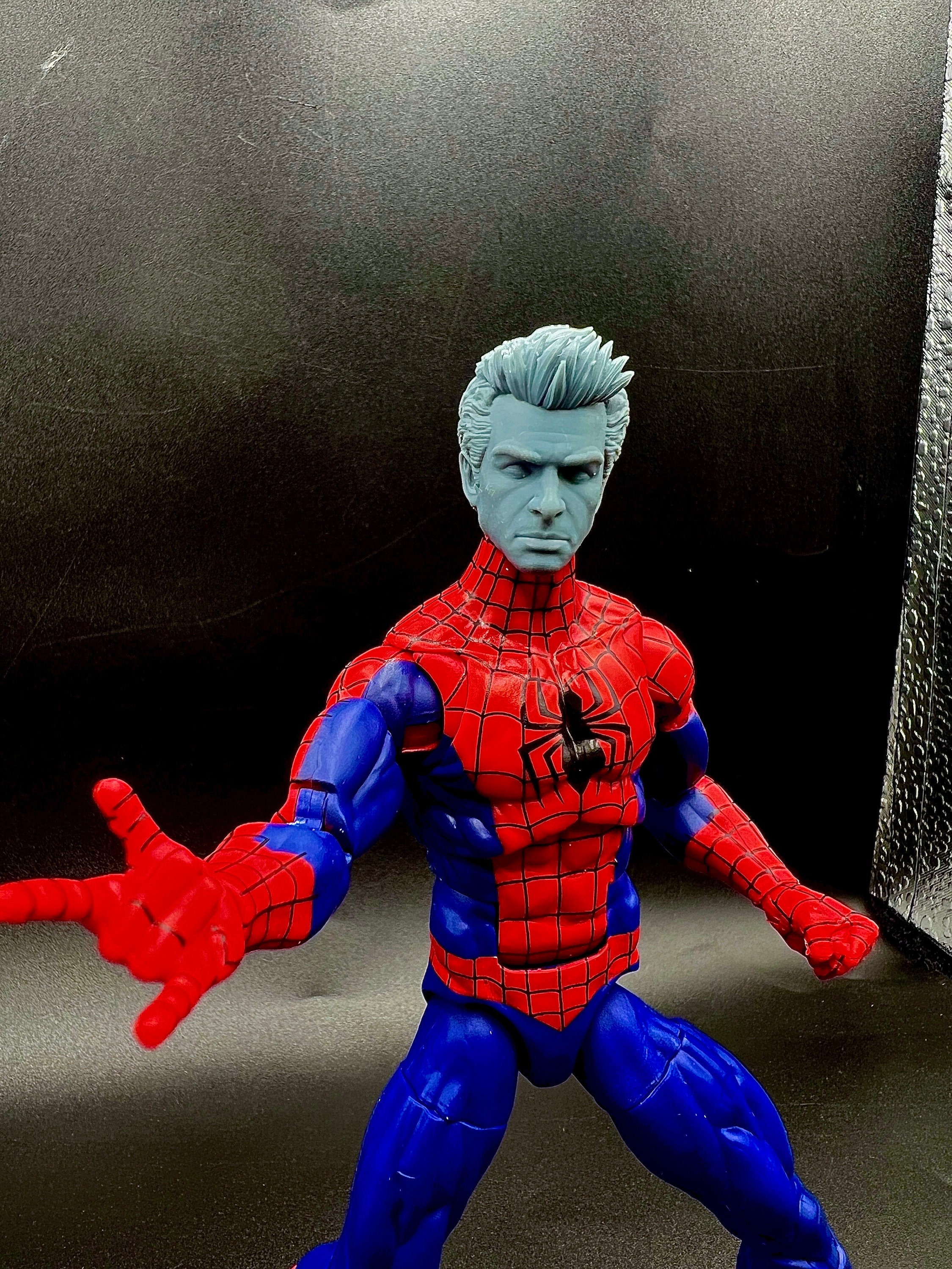 Marvel Legends Custom Spider-Man