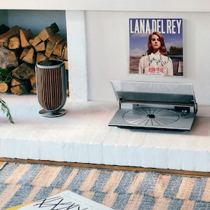 May include: A modern living room scene featuring a silver record player, a speaker with wooden slats, and a framed Lana Del Rey album cover. A stack of firewood sits in a fireplace, and a patterned rug is on the floor.