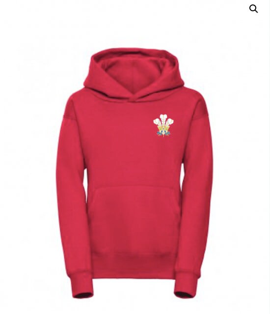 Children's Wales Jumper