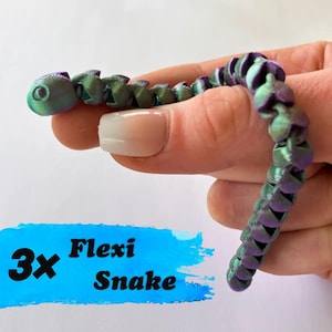 May include: A 3D printed articulated snake toy with a colour-shifting iridescent finish that transitions between metallic green and purple. The segmented body features a flexible design. The text 3x Flexi Snake is printed in black on a blue brush stroke.