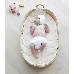 May include: A baby wearing a white bonnet and diaper lies in a leaf-shaped woven basket. The basket has a cream-colored padded interior. A small stuffed animal, a wooden brush, and a pacifier are next to the basket.