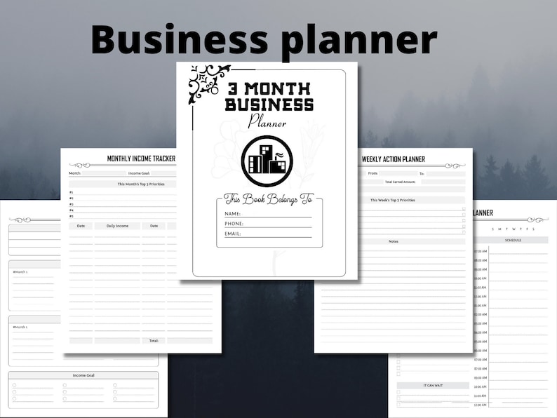 3 month business plan for interview