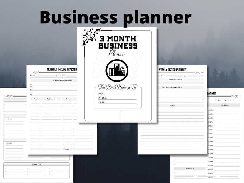 3 month business plan for interview