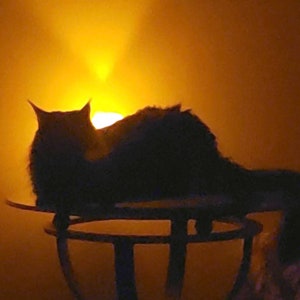 Glow Cat, Digital Print for Samsung Frame TV or Computer Screensaver