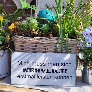 You have to be able to handle me nervously, wooden sign 26 x 13 cm, 9 mm thick, sturdy,