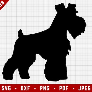 Peut inclure: Silhouette noire d'un chien teckel à poil dur.