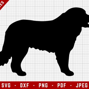 Berner SVG Schnittdatei - Berner Svg | Hunde Digitale Clip Art, Hund SVG, Hunderasse Cricut Datei, Welpe SVG