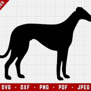 Whippet SVG Cutting File - Whippet Dog Svg | Dogs Digital Clip Art, Dog SVG, Dog Breed Cricut file, Puppy SVG