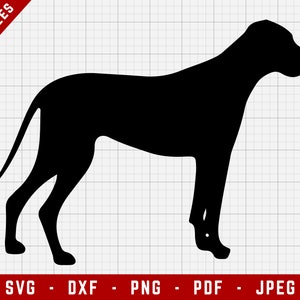 Great Dane SVG Cutting File - Great Dane Dog Svg | Dogs Digital Clip Art, Dog SVG, Dog Breed Cricut file, Puppy SVG