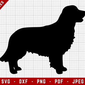 Golden Retriever SVG Cutting File - Golden Retriever Dog Svg | Dogs Digital Clip Art, Dog SVG, Dog Breed Cricut file, Puppy SVG