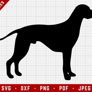 Pointer SVG Cutting File - Pointer Dog Svg | Dogs Digital Clip Art, Dog SVG, Dog Breed Cricut file, Puppy SVG