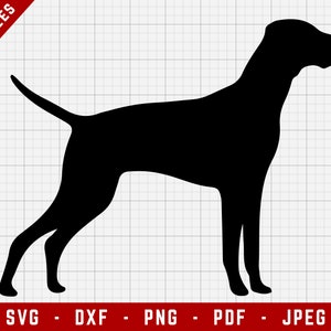 Vizsla SVG Cutting File - Vizsla Dog Svg | Hunde Digitale Clip Art, Hund SVG, Hunderasse Cricut Datei, Welpe SVG