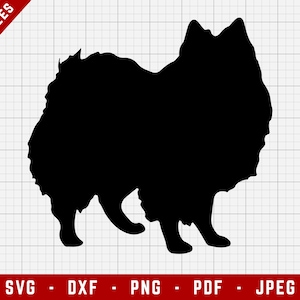 American Eskimo SVG Cutting File - American Eskimo Dog Svg file | Dogs Digital Clip Art, Dog SVG, Dog Breed Cricut file, Puppy SVG