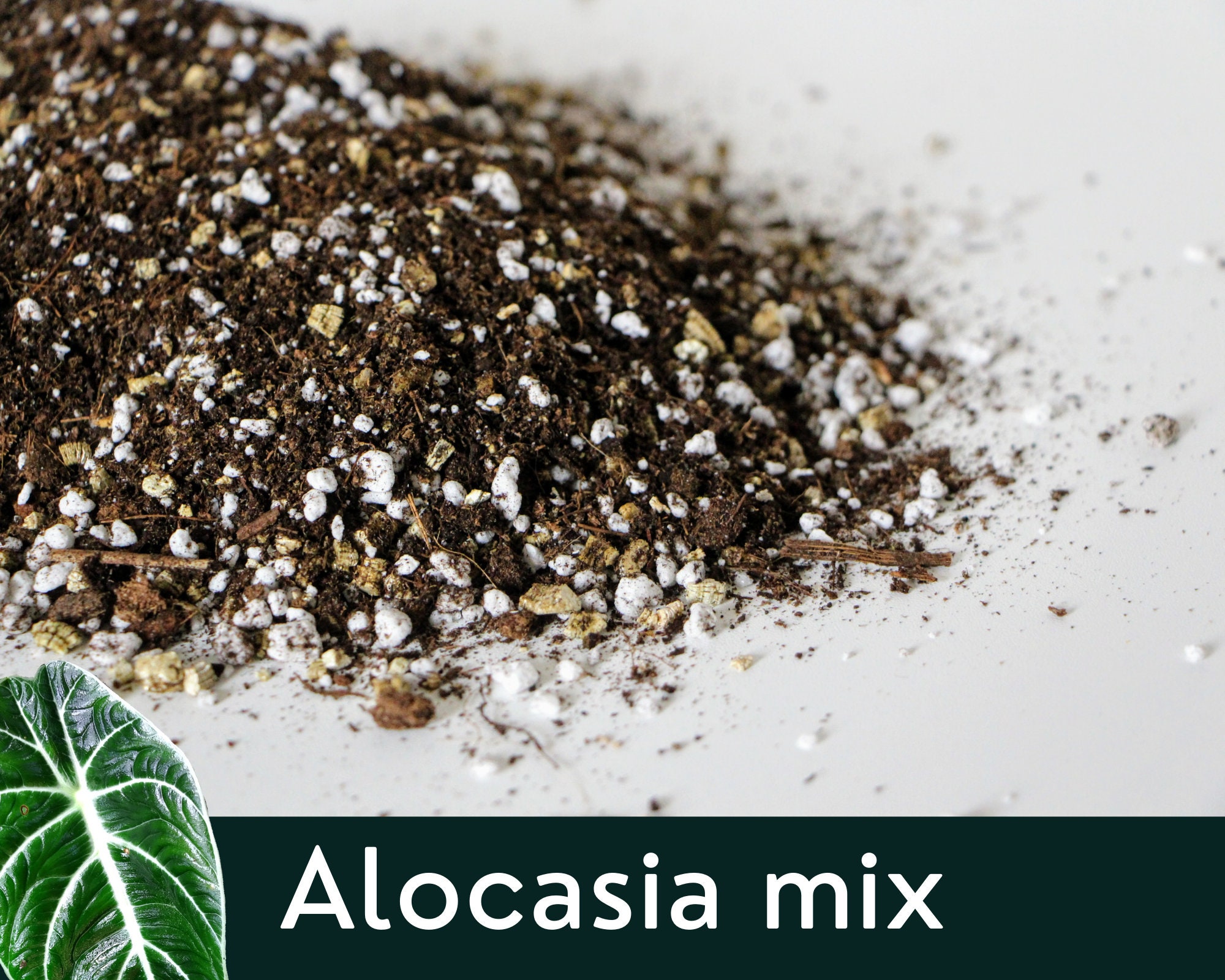 Substrat Biologique Pour Alocasia | Terreau de Rempotage sur Mesure Mélange Fait Main Commande