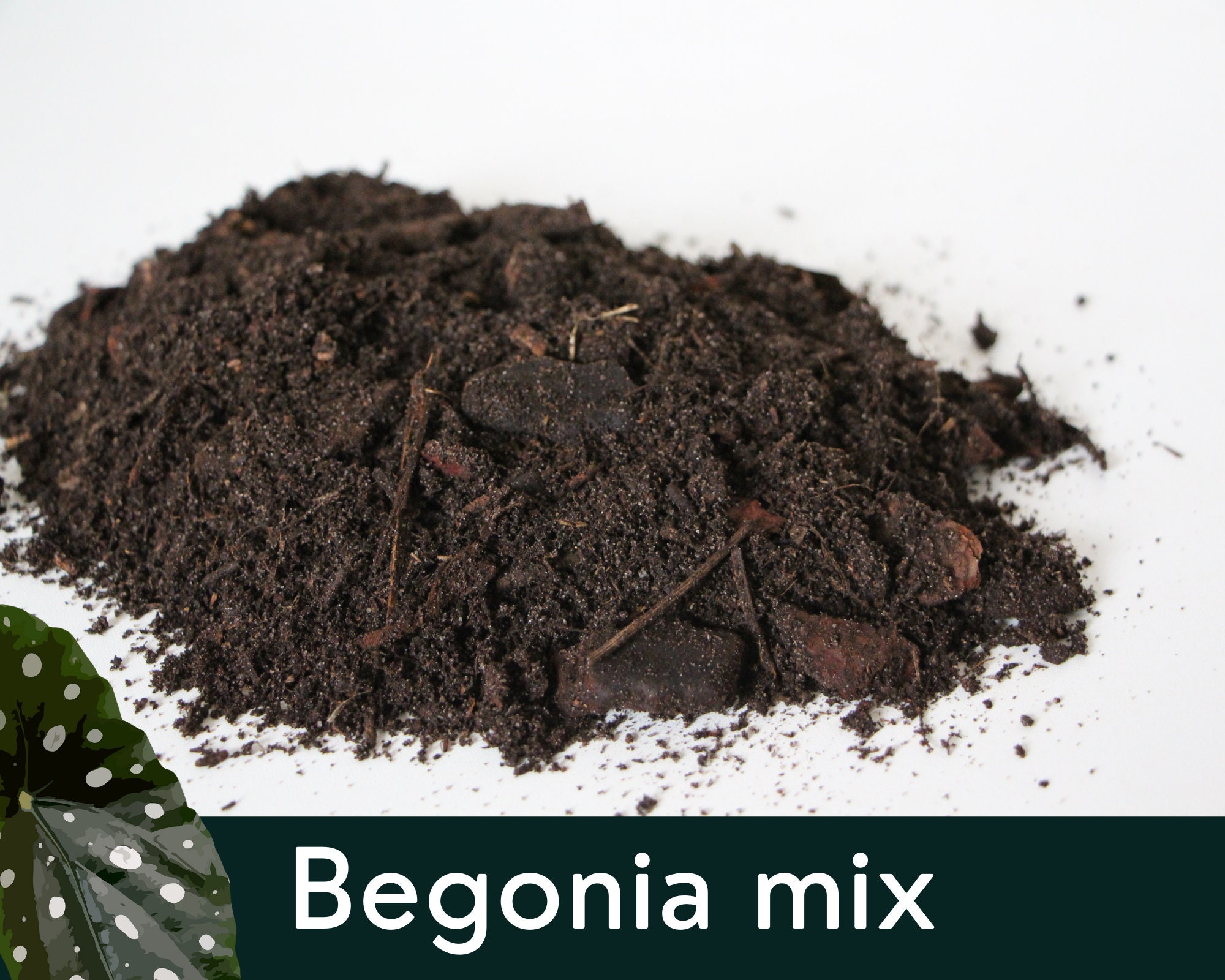 Substrat Bégonia | Terreau de Rempotage Mélange Artisanal & Biologique