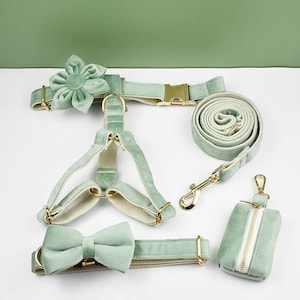 Sage Green Dog Harness and Leash Set, Teal Personalize Step In Puppy Harness, Collar, Bowtie, Poo Bag Holder, Luxury Wedding Harness