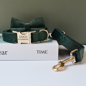 May include: A green velvet dog collar and matching bow tie with a gold buckle engraved with the name "COCO" and phone number "0123456789".