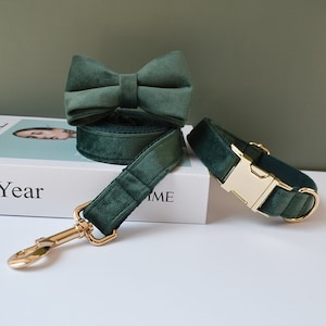 Emerald Green Velvet Personalized Bow Tie Dog Collar and Leash Set, Dark Green Handmade Wedding Dog Collar with Custom Engraved Nameplate