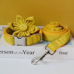 Yellow Velvet Personalized Dog Collar and Leash Set with Detachable Flower, Handmade Wedding Dog Bow Tie Collar, Dog Collar Flower