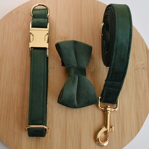 May include: A green velvet dog collar, leash, and bow tie set. The collar and leash have gold hardware.