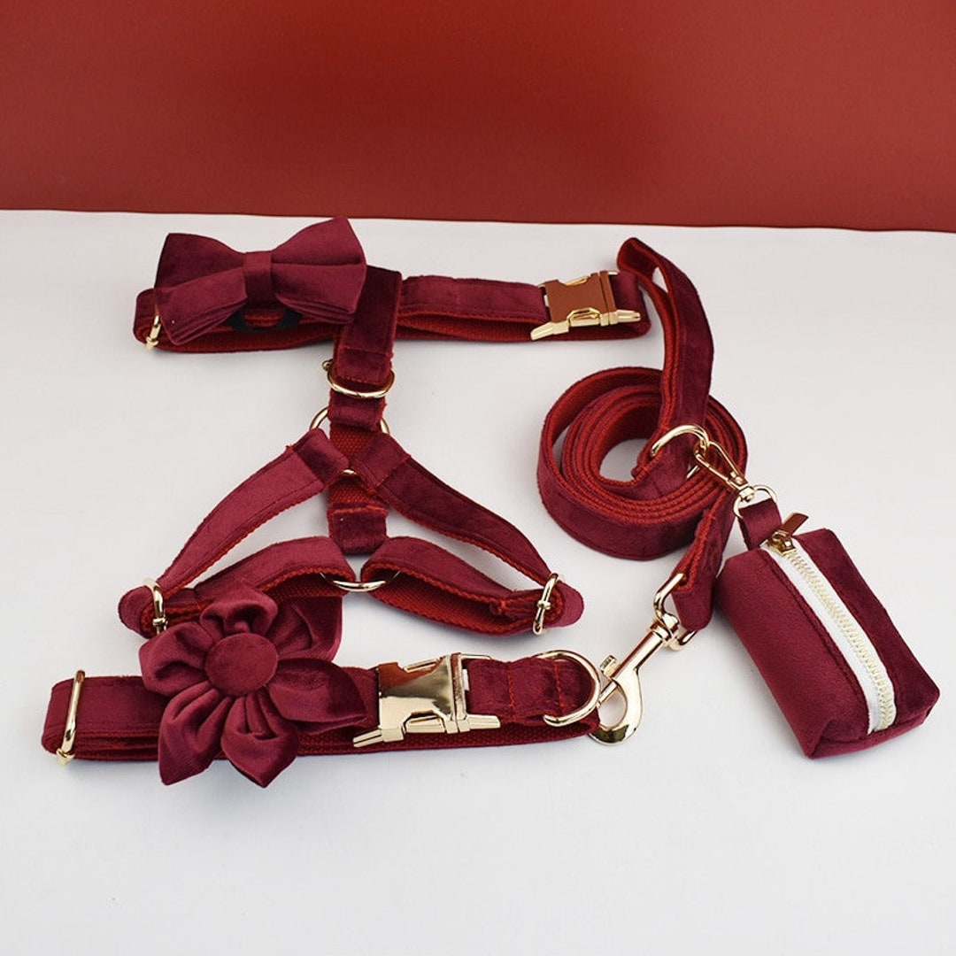Dog Harness Company of Animals Burgundy M 35-55 cm