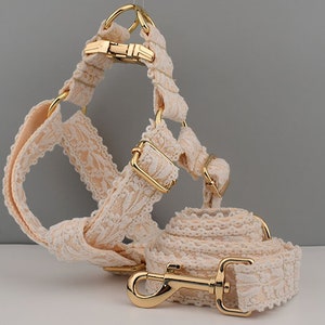 Personalized dog harness and leash - Wedding Leaf Lace