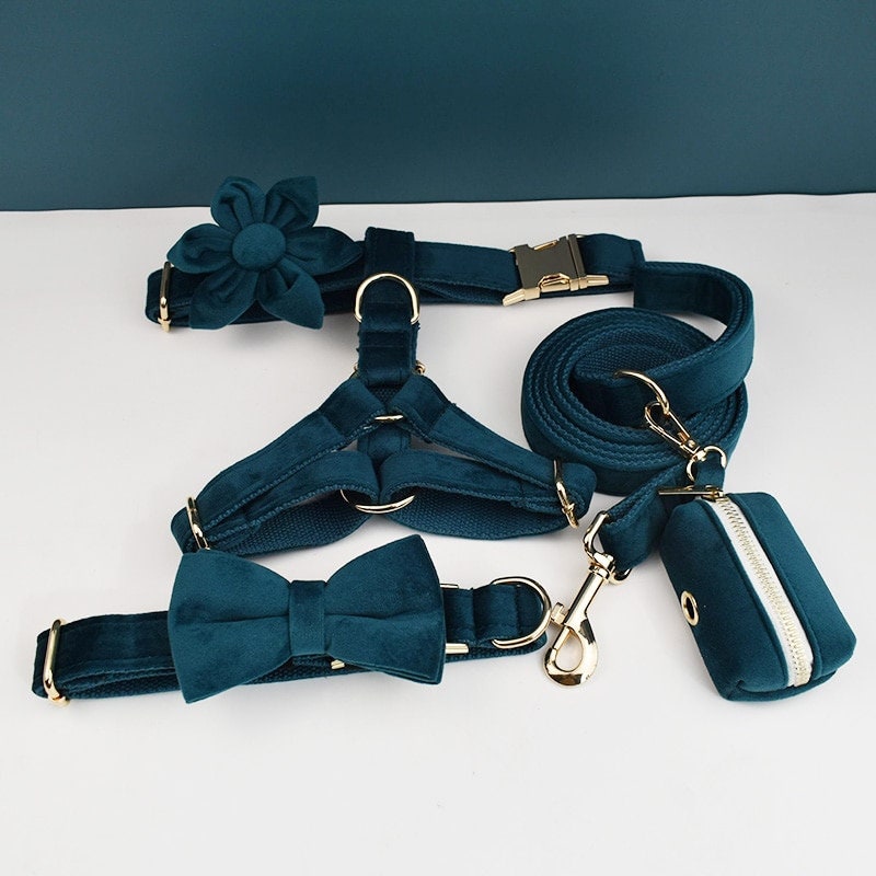 Peacock Green Dog Harness and Leash Set Teal Personalize Step - Etsy