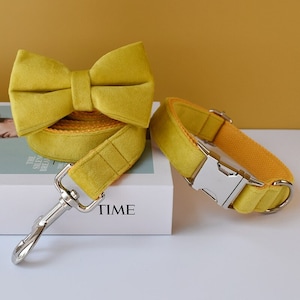 Yellow Velvet Personalized Bow Tie Dog Collar and Leash Set, Handmade Wedding Dog Collar with Custom Engraved Nameplate