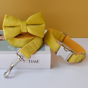 Yellow Velvet Personalized Bow Tie Dog Collar and Leash Set, Handmade Wedding Dog Collar with Custom Engraved Nameplate image 1