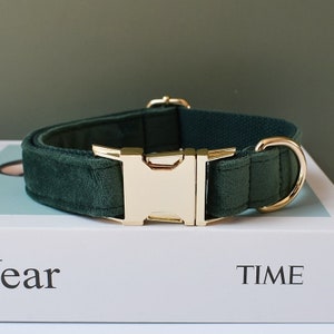 May include: A dark green velvet dog collar with a gold metal buckle and D-ring.