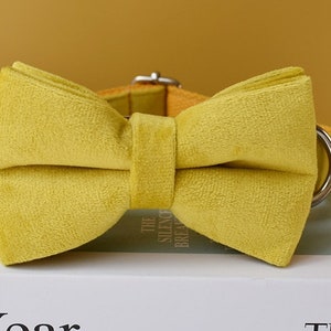 Yellow Velvet Personalized Bow Tie Dog Collar and Leash Set, Handmade Wedding Dog Collar with Custom Engraved Nameplate image 3