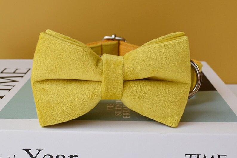 Yellow Velvet Personalized Bow Tie Dog Collar and Leash Set, Handmade Wedding Dog Collar with Custom Engraved Nameplate image 3