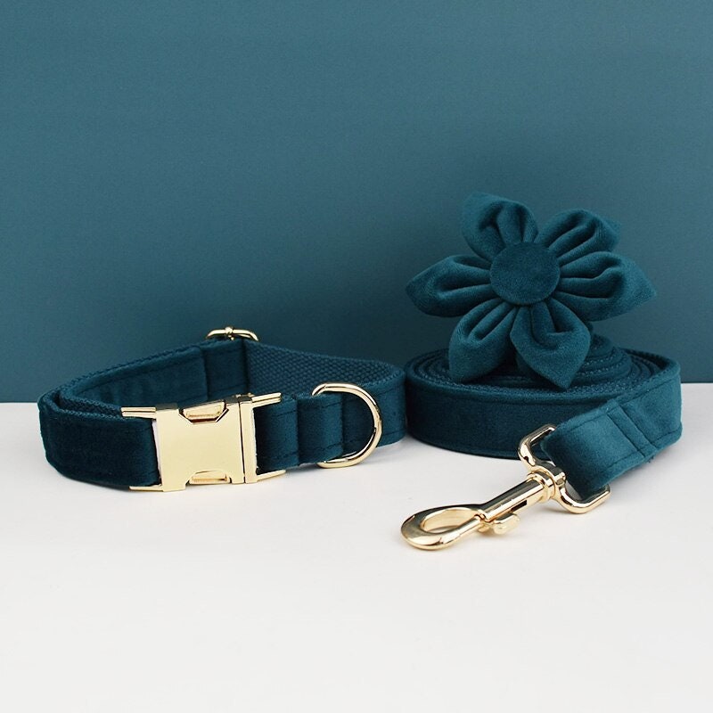 Peacock Green Dog Harness and Leash Set Teal Personalize Step - Etsy