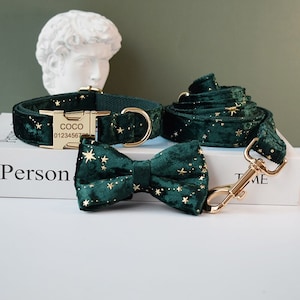 Green Starry Velvet Personalized Bow Tie Dog Collar and Leash Set, Handmade Wedding Dog Collar with Custom Engraved Nameplate