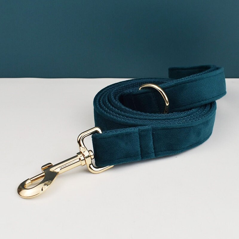 Peacock Green Dog Harness and Leash Set Teal Personalize Step - Etsy