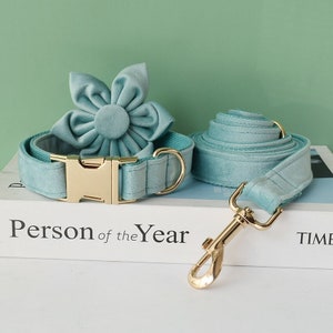 Mint Green Velvet Personalized Dog Collar and Leash Set with Detachable Flower, Handmade Wedding Dog Bow Tie Collar, Dog Collar Flower