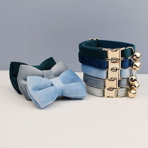 Collare per gatti e collare per cani di piccola taglia con papillon, campanello, targhetta personalizzata, collari incisi personalizzati in velluto blu per gattino