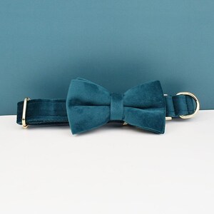 Peacock Green Dog Harness and Leash Set, Teal Personalize Step in Puppy