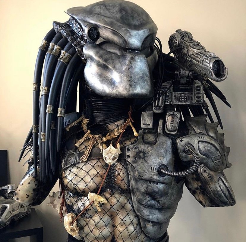 11 Predator Display Bust Resin Etsy