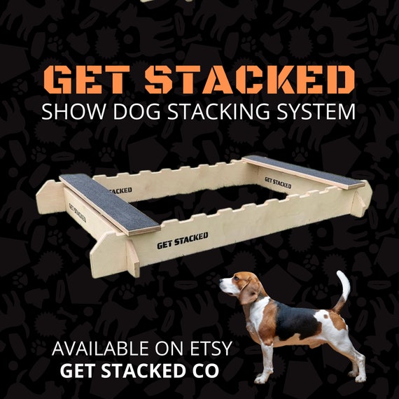 Conformation Dog Stacking Box I Show Dog Stacking System Etsy