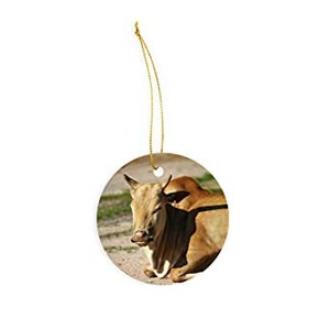Puede incluir: Un adorno redondo de cerámica con una vaca marrón y blanca tumbada en un camino de tierra. El adorno tiene una cuerda dorada para colgar.
